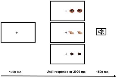 Is the reversed congruency effect unique to the eye-gaze? Investigating the effects of finger pointing, eye-gaze and arrows stimuli on spatial interference